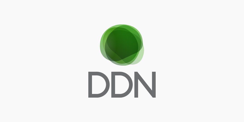 DDN - Logo